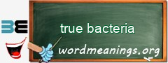 WordMeaning blackboard for true bacteria